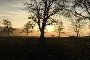 Am Grünenplatz 65 Apartments, Remscheid