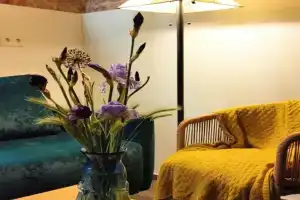Muri Starogoa Apartments, Lvov