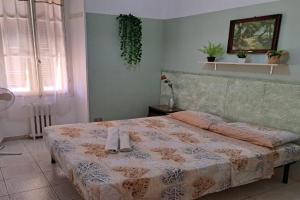 Camera Privata Vicino al Teatro Ariston Guest house, Sanremo
