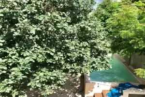 Casa "La 44", Merida