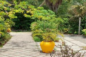 Chez Mera Self Catering Apartments, La Digue