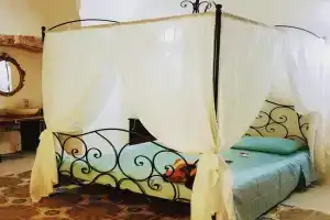 La casa dei Bombi Nettare (casa da 2), Matino