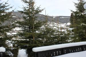 Chalet Heidi BKK, Bad Kleinkirchheim