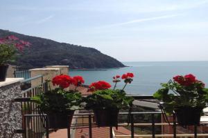 Partenope Apartments, Levanto