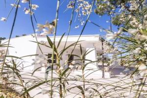 Casina Anna Maria Guest house, Francavilla Fontana