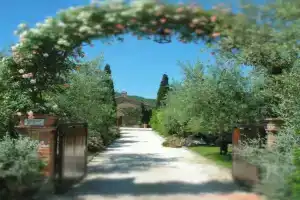 Fontanaro Farm and Culinary School, Paciano