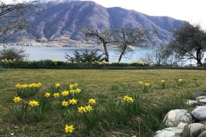 Big Apartment with Lake View and Three Bedrooms, Ossuccio