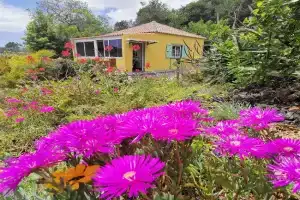 Iraña del bosque Apartments, Brena Baja