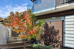 Central point Apartments, Valjevo