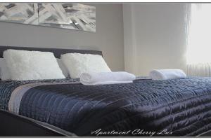 Apartment Cherry Lux, Zrenyanin