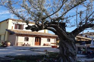 Il Focolare B&B Mini-hotel, Ravenna