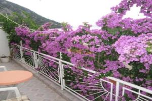 Apartment Graciela, Brist