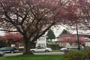 Lee home Guest house, Vancouver