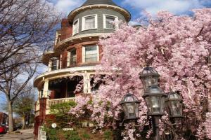 Wilson House Bed & Breakfast, Baltimore