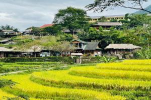 Sapa Eco Hugo Mini-hotel, Sapa