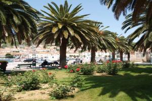 Apartment Surjan-2 by Interhome, Vela Luka