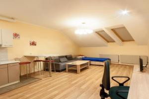 Wonderful flat on city center (Mukachivska 4/17) Apartments, Uzhgorod