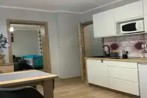 Domek na Wzgórzu Apartments, Muszyna
