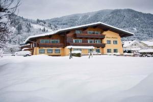 Apartments in - Salzburger Land 316, Flachau
