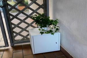 MiniAppartamento Laura - Piano terra Apartments, Chioggia