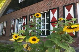 Erve Het Roolvink Boerderij Appartementen 40-50 M2 Apartments, Enschede