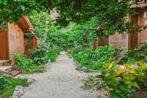 Sheriff, Guest house, Olympos