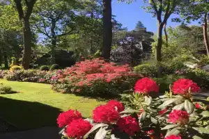 B&B Porcini Mini-hotel, Ermelo