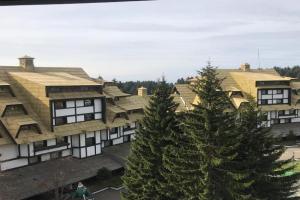 Apartmani Marija, Kopaonik
