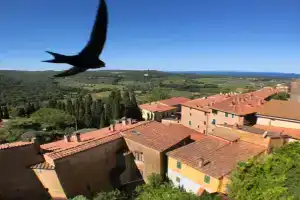 Anitta GuestHouse, Castagneto Carducci
