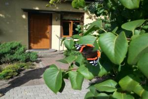 Gaisma Apartments, Ventspils