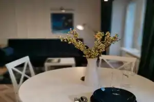 Cosy center Apartment, Klaipeda