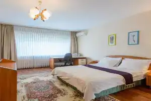 ulitsa Kunaeva 163 naprotiv otelya Dostyk, Almaty