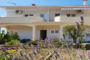 Apartments by the sea Petrcane, Zadar - 17342, Donje Petrcane