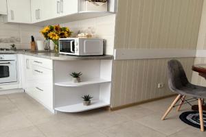 Tsentr mista Apartamenty, Kamenets-Podolskiy