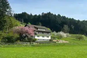 Ferienwohnung Hesselbach Apartments, Oberkirch