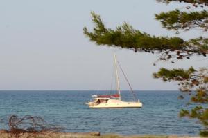 Appartamenti Fronte mare Guest house, Caletta