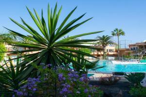 La Primera Duna - Residencial Las Dunas Apart-hotel, Corralejo