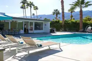Shag Lover by ACME House Company, Palm Springs