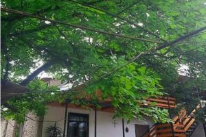 Melano apatment Apartments, Borjomi