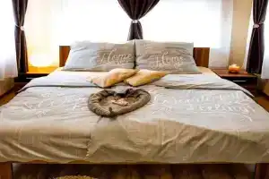 Wiky's Apartman with 3bathrooms, Budapest