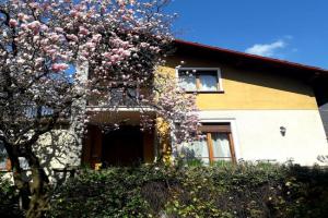 La Tana Rooms, Lenno