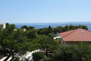 Apartment Beni, Bol