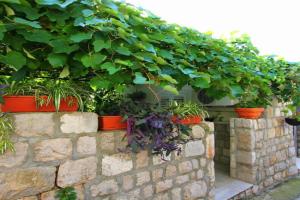 Apartment 17200a, Lopud