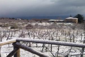 Villa Etna Masi', Milo