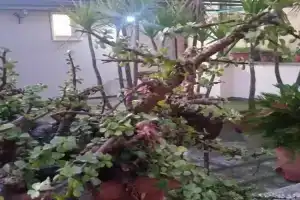 case vacanze, La casa di Angelo, con terrazzo, Oria