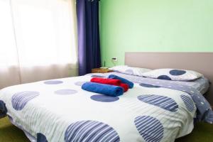 1-k Podobovo bilya Peduniversitetu, do tsentru do 10 hv Apartments, Ternopil