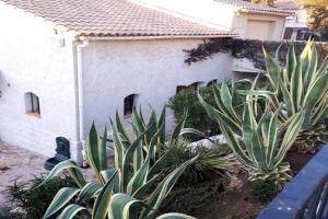 APPARTEMENTS DANS VILLA EN REZ DE JARDIN, Hyeres