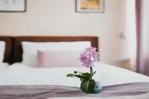 Villa Paula, Polanica-Zdroj