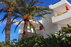 Apartamentos Mallorca SL, Cala Bona