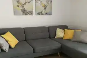 Vacation in Apartments, Druskininkai